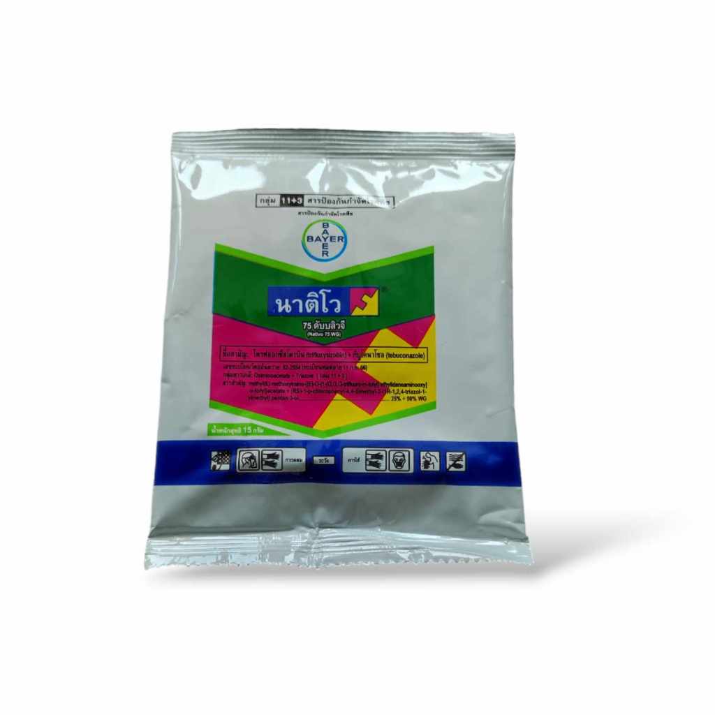 นาติโว 75 ดับบลิวจี 15 กรัม ยาเชื้อรา โรคเมล็ดด่าง กาบใบแห้ง ใบจุดสีม่วง แอนแทรคโนส ช่อดอกดำ ใบติด