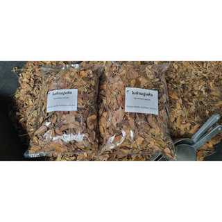 ใบก้ามปูแห้ง 300 g. คุณภาพสูง ใช้ผสมดิน เร่งการแตกยอด ใบเขียว ต้นไม้สมบูรณ์ Samenea Leaves