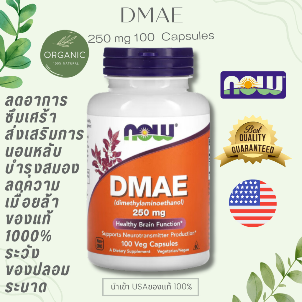[ของแท้] DMAE Dimethylaminoethanol 250MG 100 Capsules ลดริ้วรอย ยกกระชับผิว ต่อต้านอนุมูลอิสระ NOW FOODS