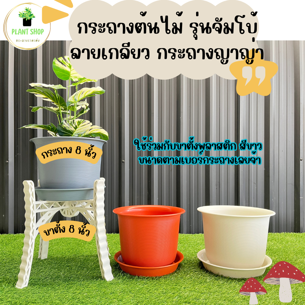 กระถางต้นไม้ รุ่นจัมโบ้ ลายเกลียว กระถางญาญ่า กระถางมินิมอล พร้อมจาน ขนาด 18 นิ้ว ราคา ถูกที่สุด ดีลบีเคเค แกลเลอรีภาพที่ 4