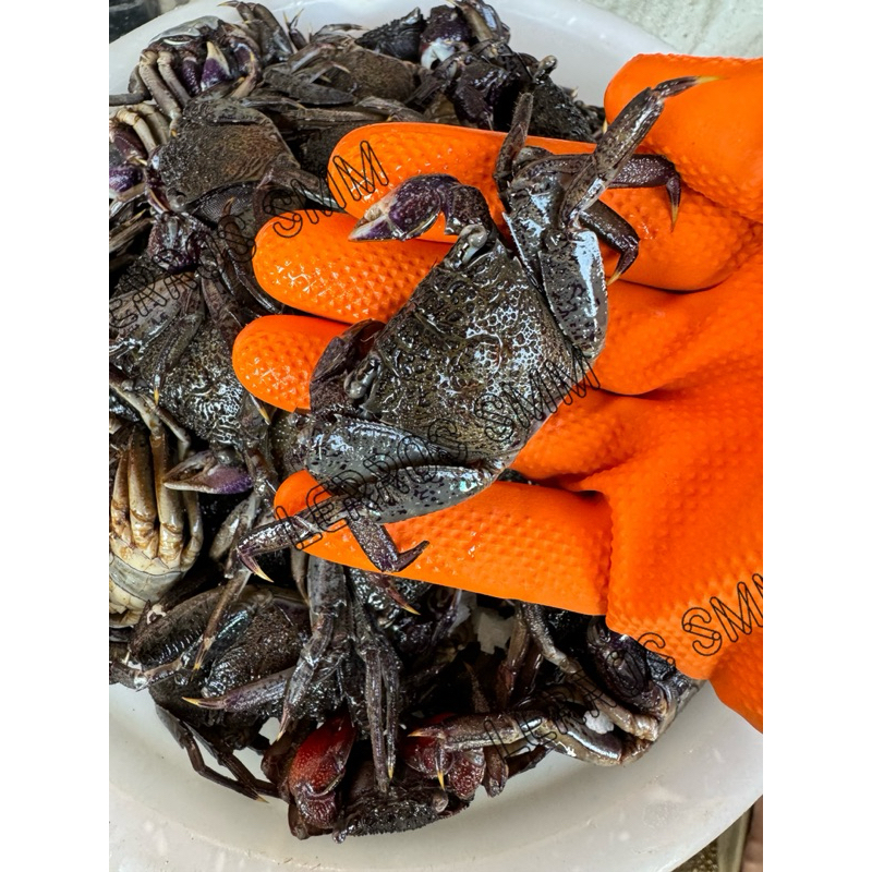 ปูเค็มส้มตำ ปูดอง**เค็ม** ดองเค็มไม่ใช่ปูจืด ปูหวาน ปูทะเลดองเค็ม บรรจุ 500-1,000 กรัม