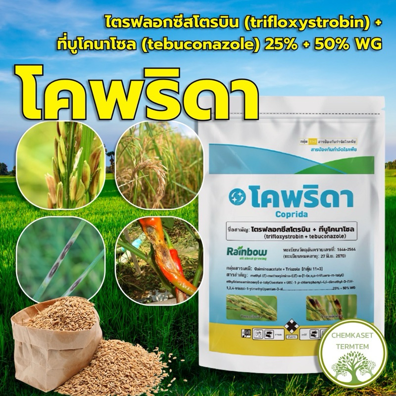 💦โคพริดา💦 สารป้องกันและกำจัดโรคพืช ขนาด 250กรัม สารเดียวกับนาติโว่