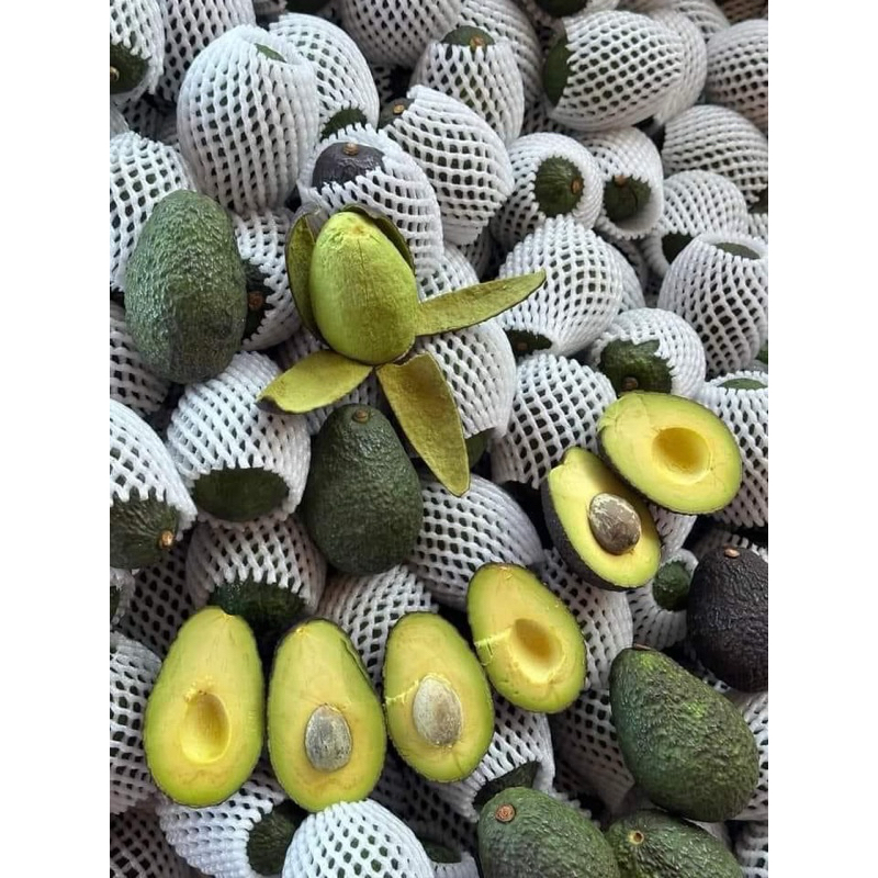 ราชาโวคาโด (1kg) พันธุ์Hass แฮส Avocada