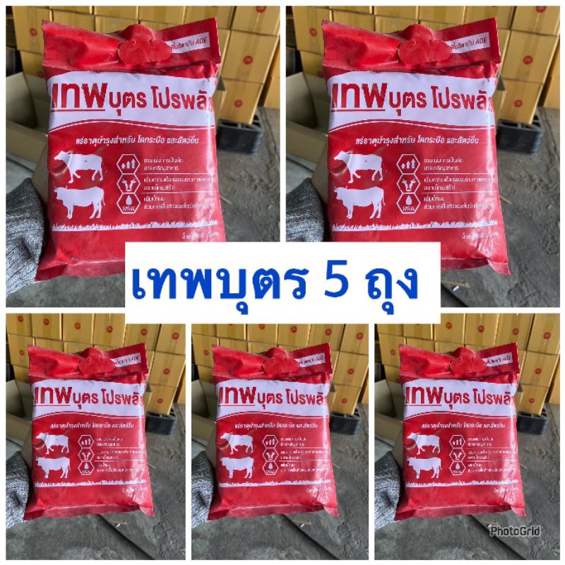 เทพบุตร โปรพลัส แร่ธาตุบำรุงสัตว์