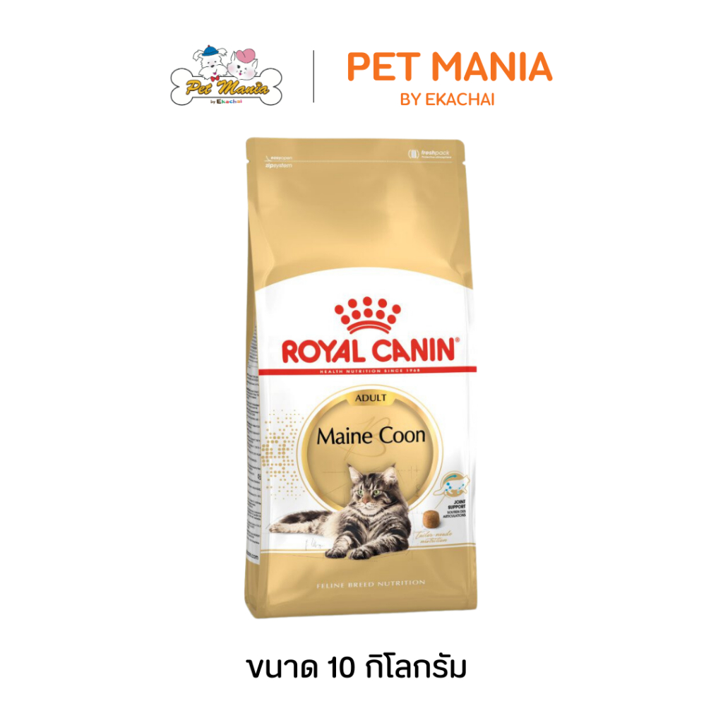 Royal Canin FelinBreed MaineCoon31 แมวโตพันธุ์เมนคูน 10 kg