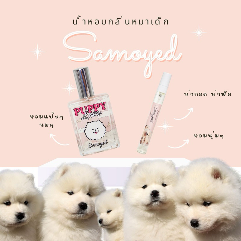 ซื้อ น้ำหอมกลิ่นหมาเด็ก Puppy scent perfume น้ำหอมกลิ่นแป้งเด็ก หอมสะอาดๆติดทนนาน 6-7 ชม.