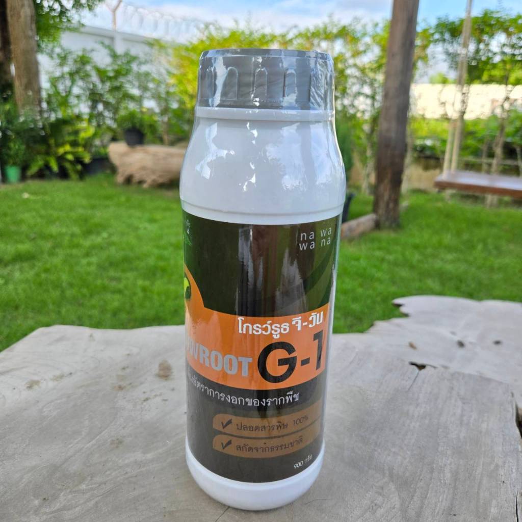 <โปรพิเศษ> ยาเร่งราก แบบผง Growroot-G1 เร่งใบ น้ำยาเร่งราก กระตุ้นการแตกใบอ่อน บำรุงราก ต้นสมบูรณ์