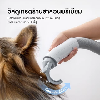 HOMERUNPET Official Pet Dryer ไดร์เป่าขนสุนัข เครื่องเป่าขนสุนัข สัตว์เลี้ยง PD10 พร้อมกับหัวเป่า 3 หัว