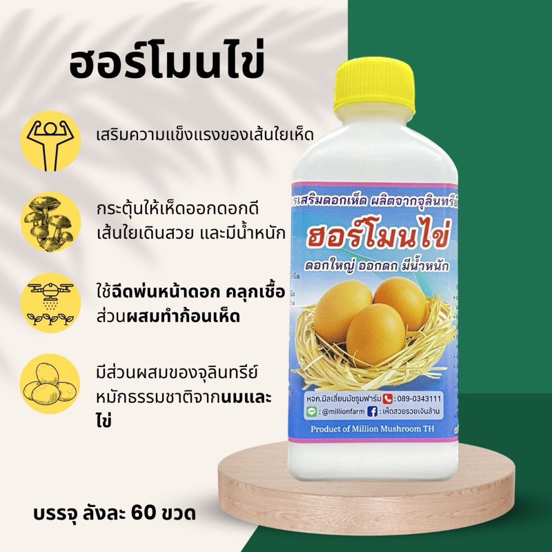 ฮอร์โมนไข่ อาหารเสริมดอกเห็ด ดอกสวย ดอกใหญ่ มีน้ำหนัก