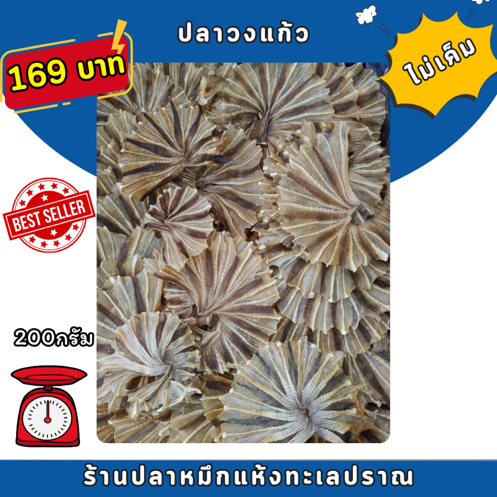 ปลาวงจืด ปลากระแบนแห้ง ปลสวงแก้ว