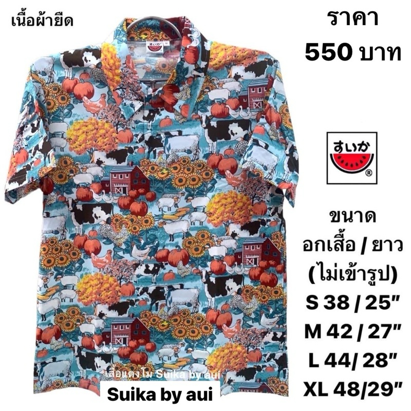 เสื้อยืดแตงโมคอปกโปเชี่ยล