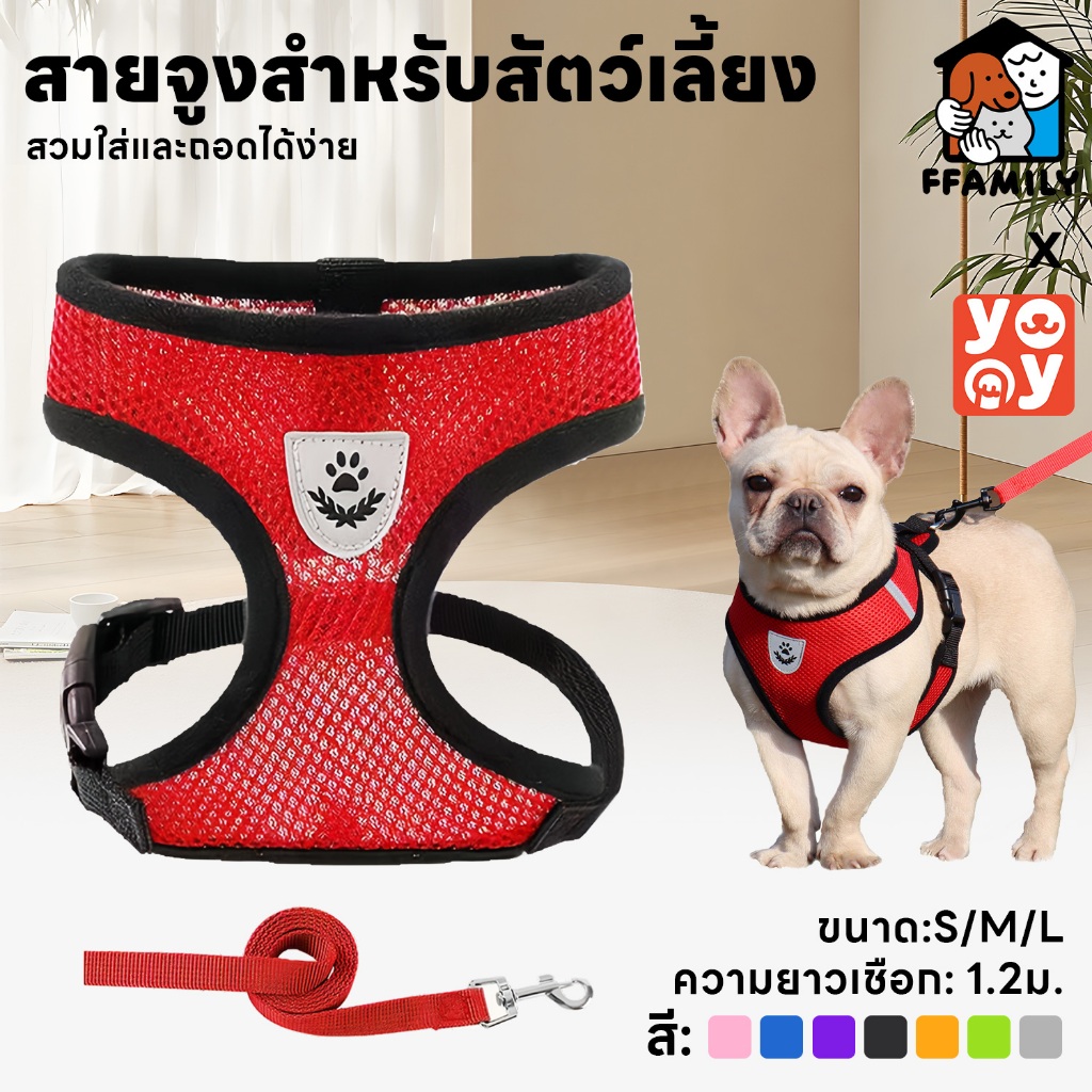 ffamily ❥ สายจูงสัตว์เลี้ยง เชือกรัดสัตว์เลี้ยง ชุดสัตว์เลี้ยง เสื้อตาข่าย สายจูง มีหลายขนาดให้เลือก