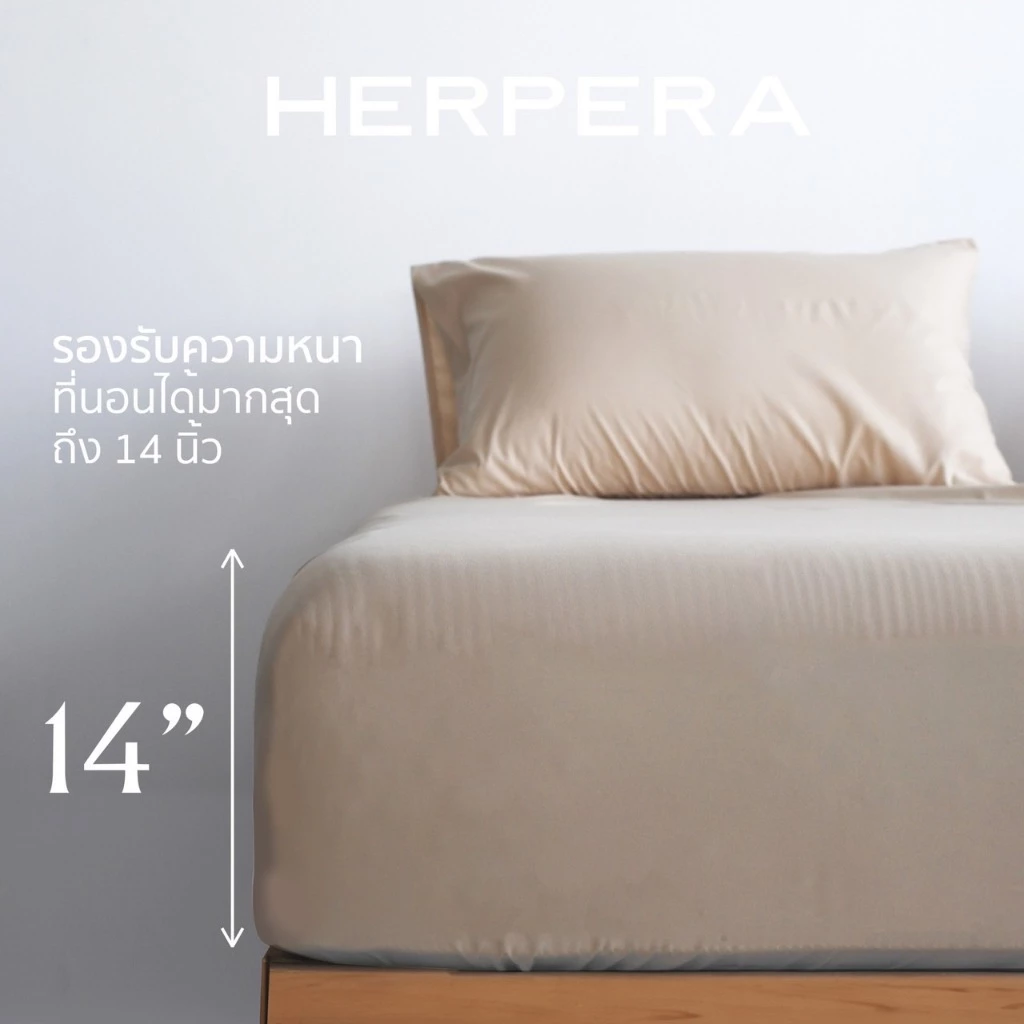 HERPERA ชุดผ้าปูที่นอนครบเซตพร้อมผ้านวม สีครีม (Sand) thumbnail 7