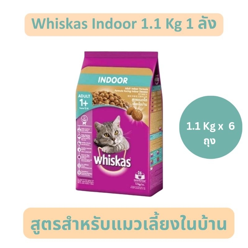 Whiskas Indoor 1 ลัง อาหารเม็ดวิสกัสสำหรับแมวเลี้ยงในบ้าน 1.1 Kg