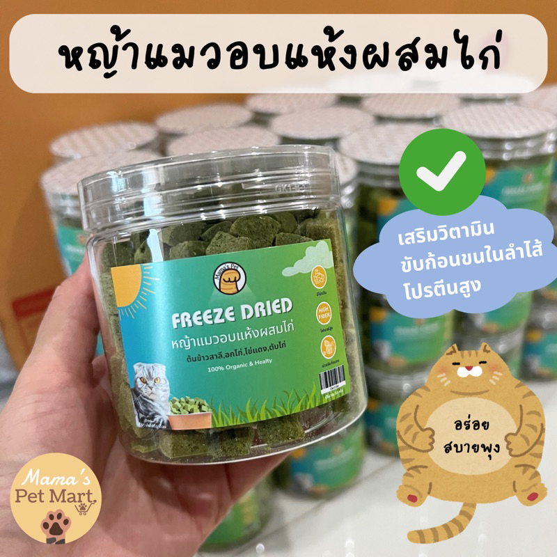 พร้อมส่ง 🚨 หญ้าแมวผสมไก่ฟรีซดราย Cat grass & chicken Freeze dried แบบลูกเต๋าและอัดแท่ง 30-50g