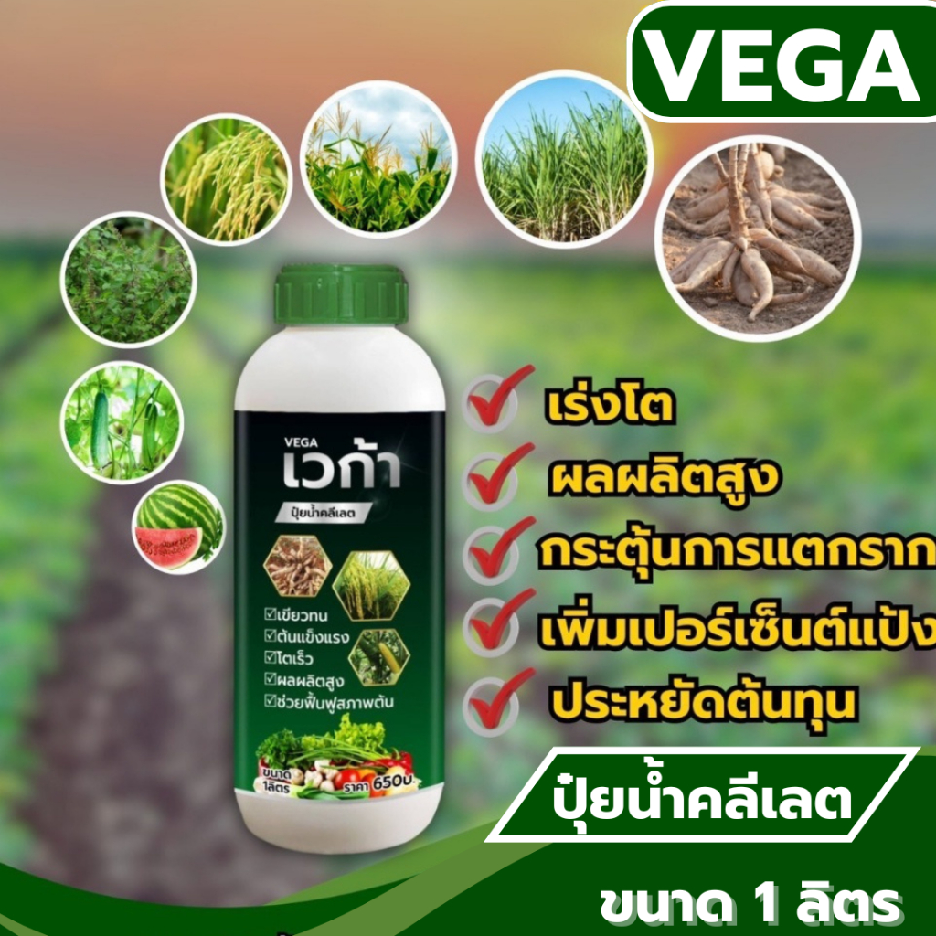 เวก้าปุ๋ยน้ำคีเลต สุดยอดธาตุอาหารชนิดคีเลต สูตรเร่งโต ใบเขียว เเข็งเเรง เพิ่มผลผลิตสูง  ขนาด 1 ลิตร