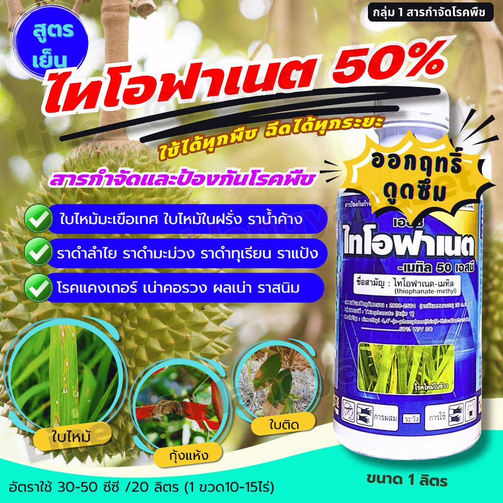 ไทโอฟาเนต-เมทิล 50% 1 ลิตร ป้องกันและดูดซึม โรคใบไหม้ โรคใบขีดสีน้ำตาล โรคเมล็ดด่างในข้าว โรคแผลสะเก็ด โรคพืชต่างๆ