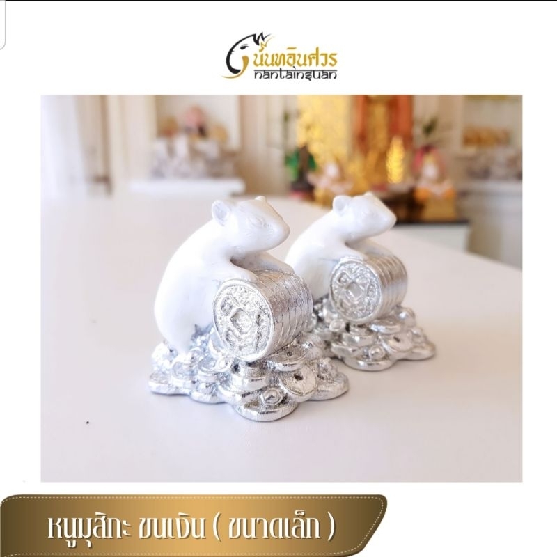 หนูมุสิกะ ขนเงิน นันทอินศวร ( ขนาดเล็ก ) ผ่านพิธีกรรมศักดิ์สิทธิ์พร้อมถวาย