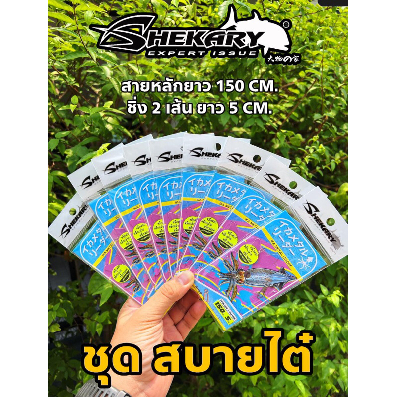 ชุดตกหมึกสำเร็จรูป SHEKARY งานตกหมึกหลอด ชายฝั่ง ทิปรัน