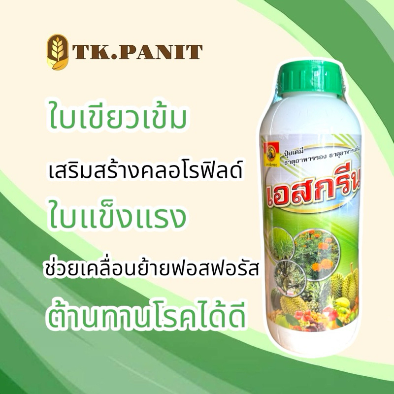 เอสกรีน ใบเขียว แข็งแรง ต้านทานโรค
