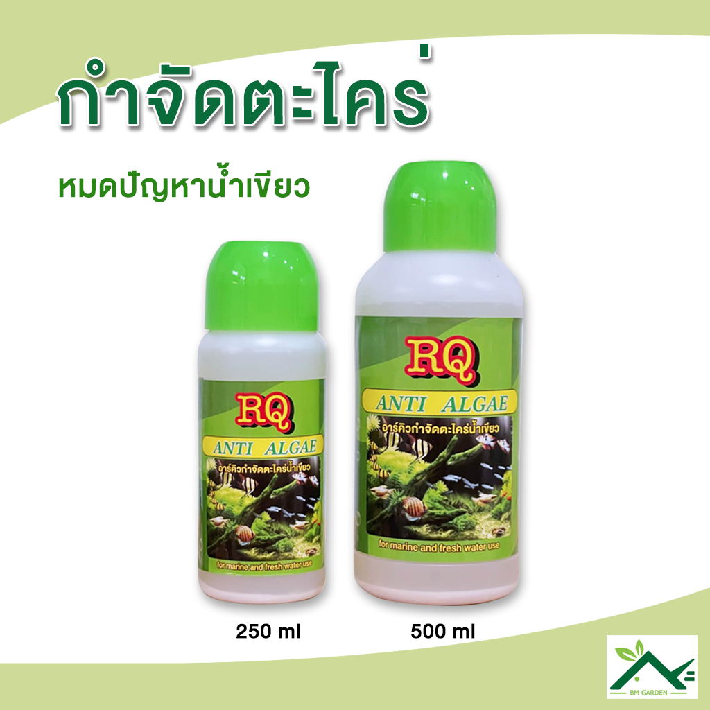 RQ ANTI ALGAE กำจัดตะไคร่น้ำเขียว