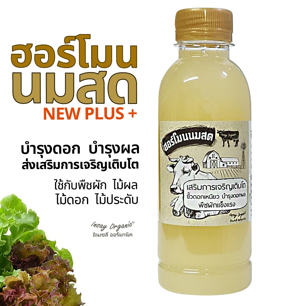 ฮอร์โมนนมสด INSAY ใช้บำรุงดอกผล  พืชผักเจริญเติบโต ฟื้นฟูสภาพดิน ใช้กับพืชผัก ไม้ดอก ไม้ผล 250 มล.