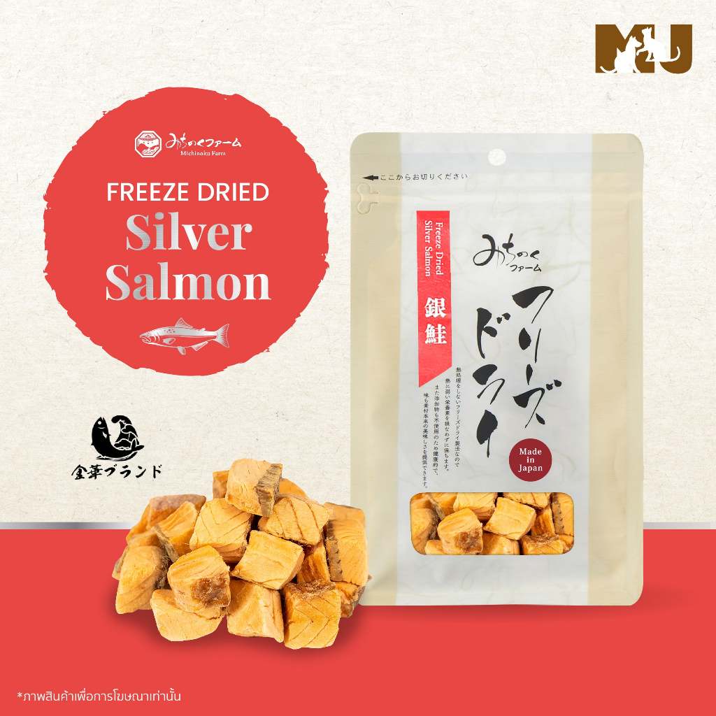 [หมดอายุ 09/26] Freeze Dried Sliver Salmon 40g. เนื้อปลาแซลมอนสีเงินฟรีซดรายจากจังหวัดมิยากิ ผลิตจากประเทศญี่ปุ่น