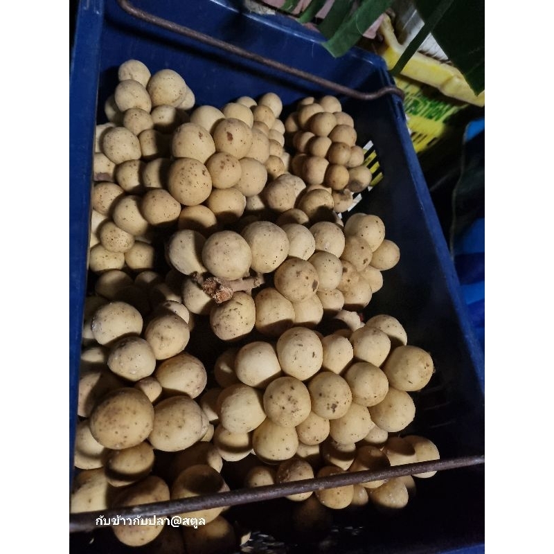 ผลไม้ ลองกองใต้ แพคส่ง อย่างดี 3กิโล