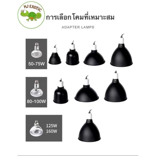 Nomoy Pet โคมไฟ ขั้วเซรามิค สำหรับใส่หลอด UVA UVB เต่า กิ้งก่า สัตว์Exotic ไซส์5.5นิ้ว และ 8.5นิ้ว