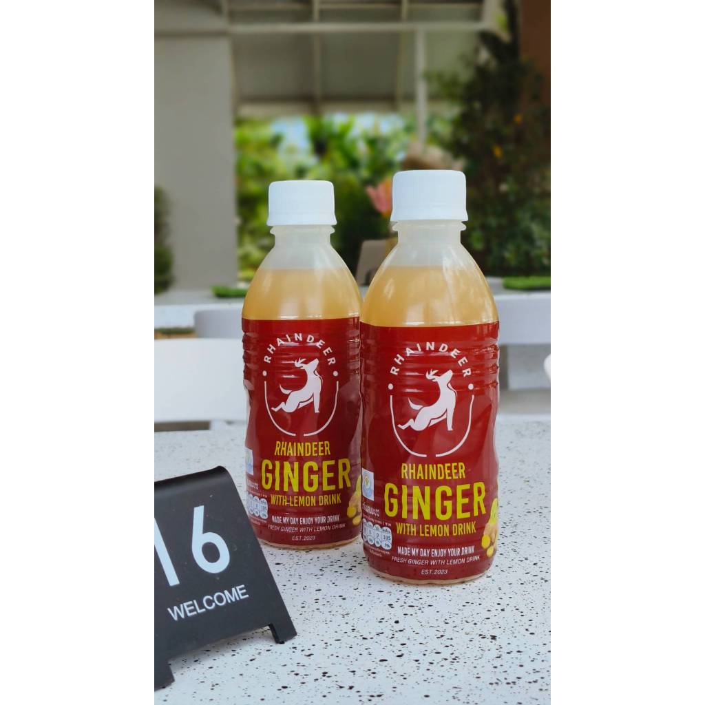 12 ขวด น้ำขิง มะนาว GINGER  Lemon Shot 290ml. ดื่มง่าย ตรา เรนเดียร์