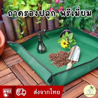 เสื่อรองปลูกทำสวน Premium (ผ้าใบกันน้ำเกรดพรีเมี่ยม) แคคตัส ต้นไม้ ดีไซน์สวยทรงสี่เหลี่ยม สีเขียวเข้มขอบสีดำ ถาดรองปลูก