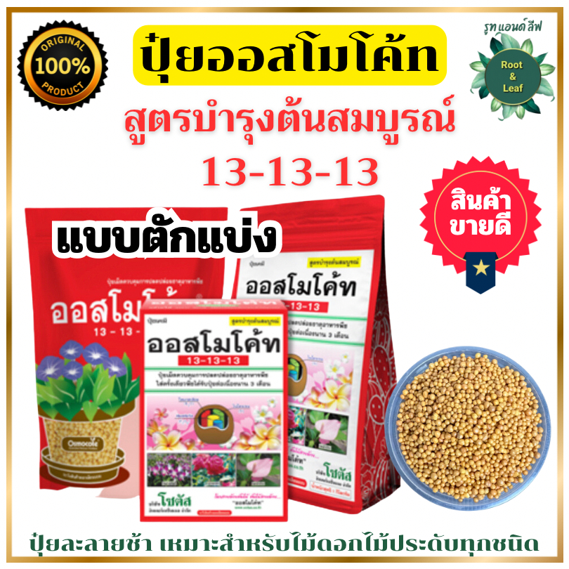 ออสโมโค้ท ปุ๋ยละลายช้า  บำรุงต้นสมบูรณ์ สูตร 13-13-13 ปล่อยธาตุอาหารนาน 3 เดือน ปุ๋ยเร่งดอก ปุ๋ยบำรุงต้น ปุ๋ยแคคตัส