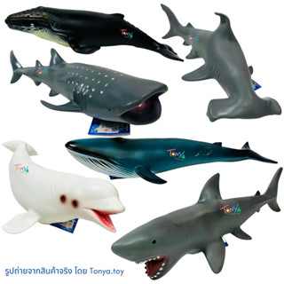 โมเดลปลาฉลาม ปลาวาฬ ปลาโลมา สัตว์ทะเล ตัวใหญ่ ยาวประมาณ 40-5…