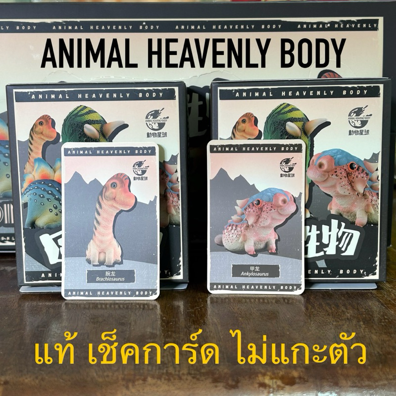 เลือกตัว แท้ 100% เช็คการ์ด ไม่แกะตัว อาร์ตทอย ไดโนเสาร์ dinosaur art toy Animal Heavenly Body arttoy กล่องสุ่มไดโนเสาร์