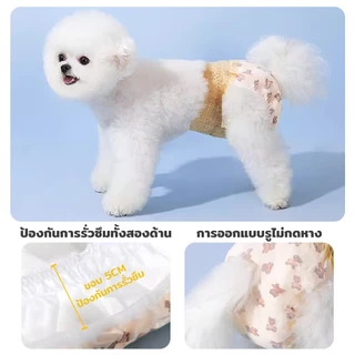 PetStern XS-XL ขนาด ผ้าอ้อมน้องหมา สุนัขดึงกางเกงและผ้าอ้อมสําหรับสัตว์เลี้ยง ดึงผ้าอ้อมผ้าอนามัยสําหรับสุนัขและป้า