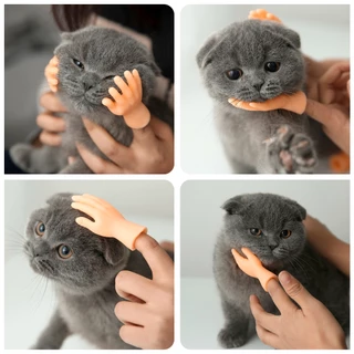 Petcho ของเล่นแมว ของเล่นสําหรับสัตว์เลี้ยง ถุงมือมินิ ถุงมือสวมนิ้วสำหรับแมว ราคาถูก จํานวน 6 ชิ้น