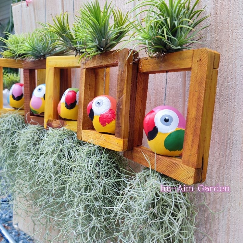 เคราฤาษีแต่ง นกแก้ว ((ขนาด3นิ้ว))ใส่กรอบไม้ขนาด 5.5*6นิ้ว