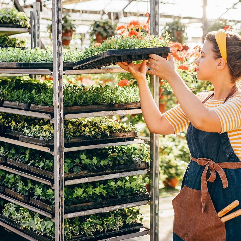 ถาดเพาะกล้า 1.0 มม ถาดเพาะชำ 10ใบ-20ใบ ถาดเพาะเมล็ด 50/72/105/128/200 หลุม ถาดเพาะกล้า