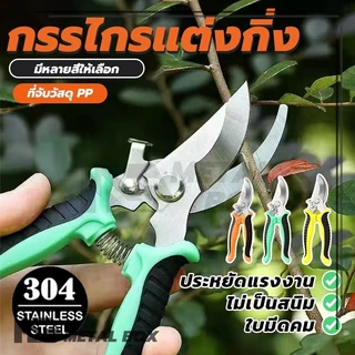 กรรไกรทำสวน กรรไกรสแตนเลส การคุ้มครองสิ่งแวดล้อมและสุขภาพ กรรไกรสำหรับตัดแต่งกิ่งไม้ เครื่องมือจัดทำสวน น้ำหนักเบา