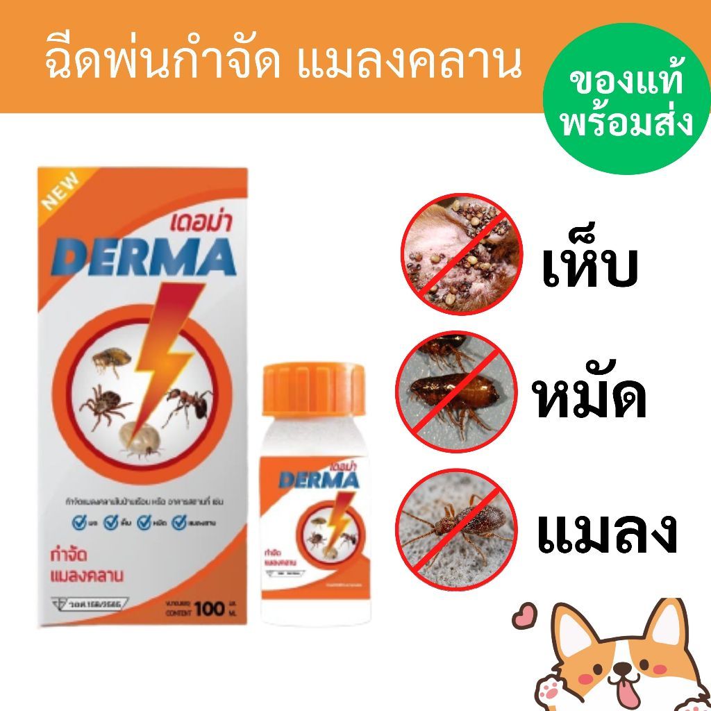 น้ำยากำจัดเห็บหมัด เดอม่า 100ml ใช้ผสมน้ำราดพื้น กำจัดแมลงคลาน แมลงสาบ มด