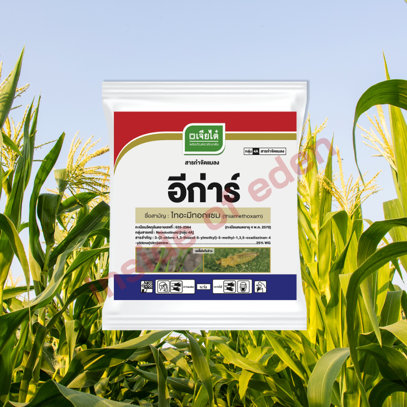 อีการ์ 100 กรัม ไทอะมีทอกแซม เจียไต๋ กำจัดเพลี้ยไฟ