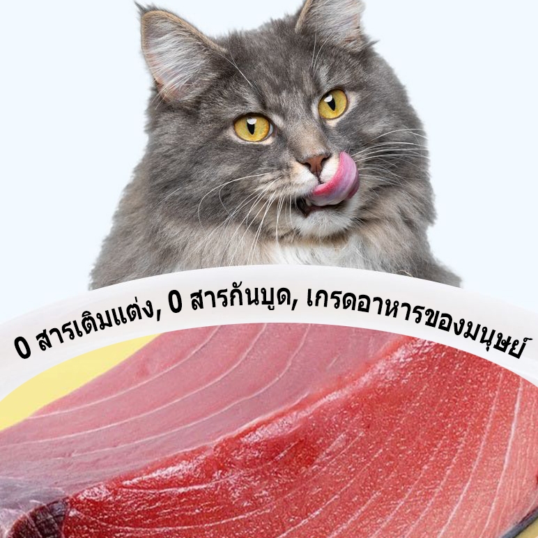 😻😻【85g*10】Yummy อาหารแมว อาหารเปียกแมว อาหารลูกแมว อาหารแมวโต อาหารแมวสูงวัย สูตรใหม่ ขนาด อาหารแมวเปียก แบบซอง อาหารเป - รูปที่ 5