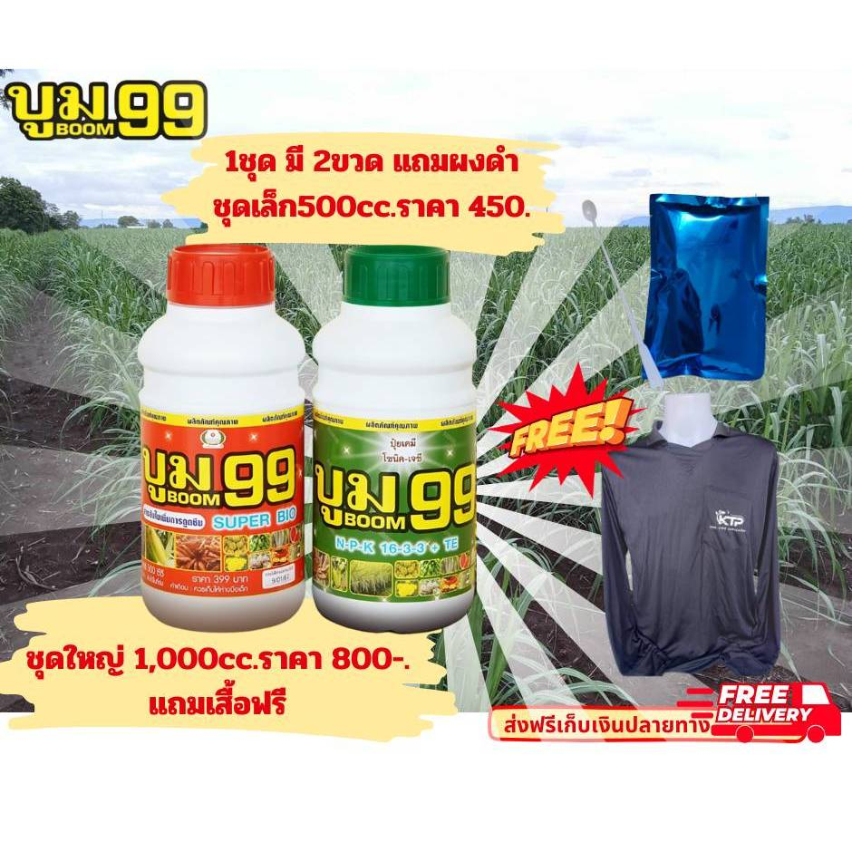 บูม99 ผลิตภัณฑ์เกษตรเพิ่มผลผลิต