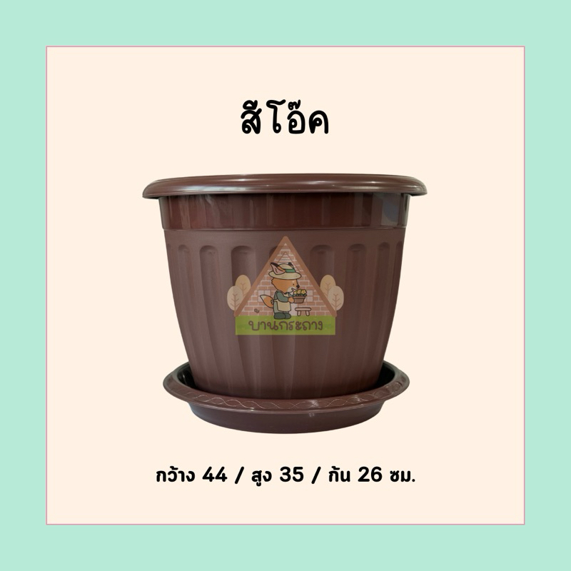 กระถางโรมัน17นิ้วพร้อมจานรอง กระถางทรงโรมัน กระถางน่ารัก รูปที่ 5