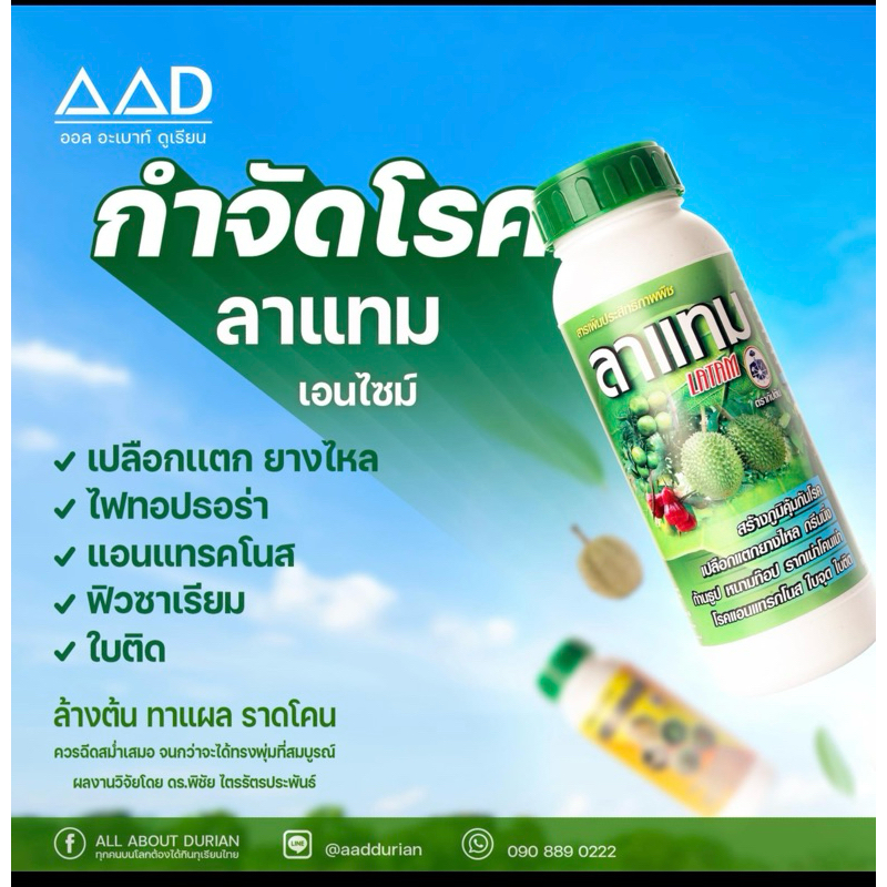 ลาแทม เอนไซม์ ขนาด 1 L