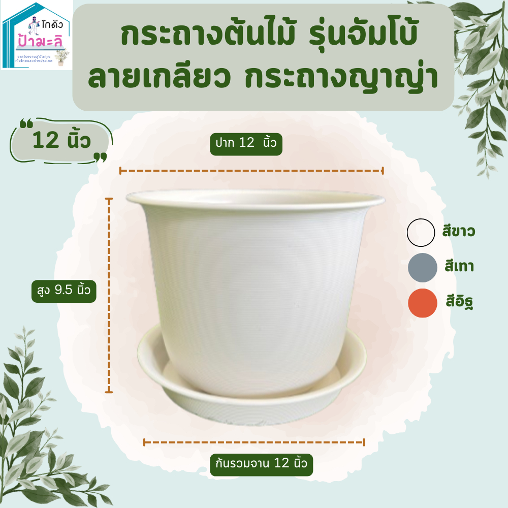 กระถางต้นไม้ รุ่นจัมโบ้ ลายเกลียว กระถางญาญ่า กระถางมินิมอล พร้อมจาน ขนาด 12 นิ้ว