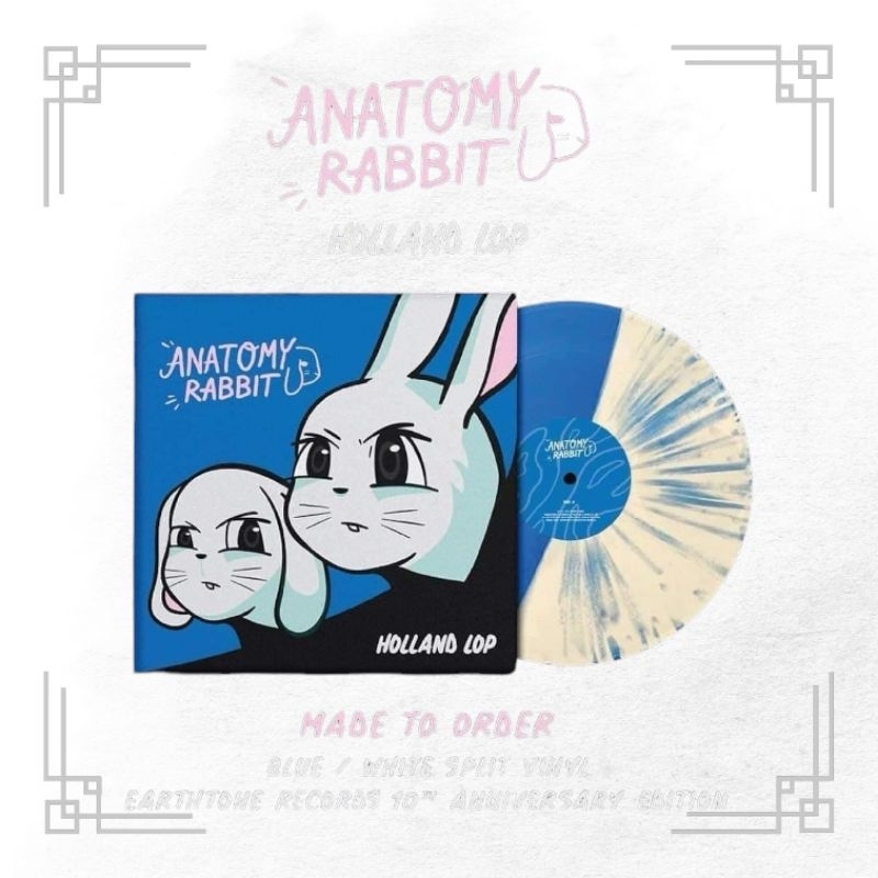 Vinyl Anatomy Rabbit Holland Lop SS