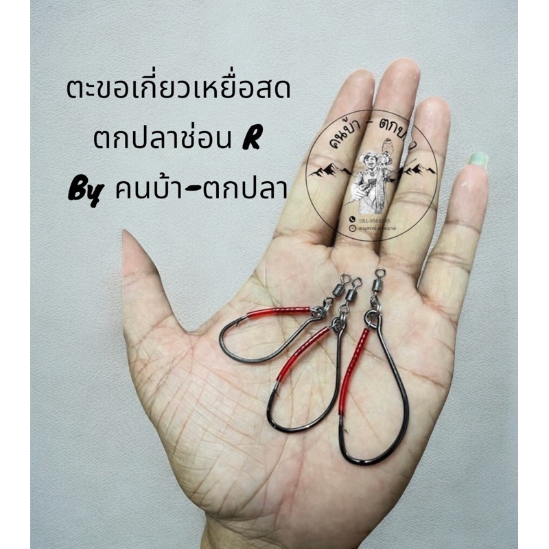 ชุดเบ็ดเกี่ยวเขียดสดตกปลาช่อน R 2002 Byคนบ้า-ตกปลา