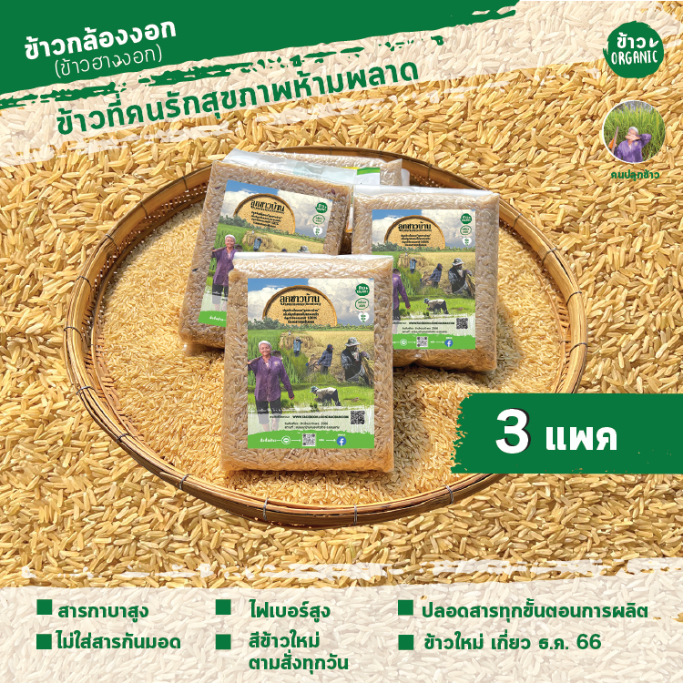 ข้าวฮางงอกหอมมะลิ ชุดอิ่มสุขภาพดี GABA RICEข้าวออร์แกนิก จำนวน 3 กิโลกรัม