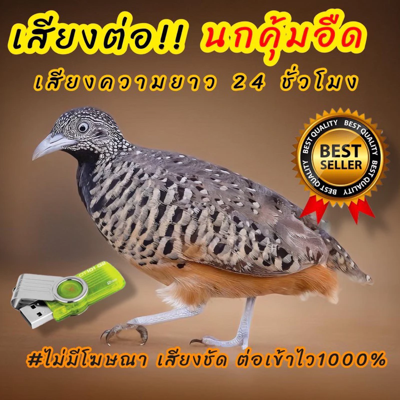 เสียงนกคุ้มอืด เสียงต่อนกคุ้มอืด ต่อเข้าเร็ว เสียงดี ชัด100% ไม่มีโฆษณาแทรก 011